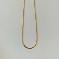 The Original Agnes Chain &mdash;