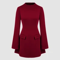 Knit Fabric High Neck Solid Long Sleeve Mini Dress For Work