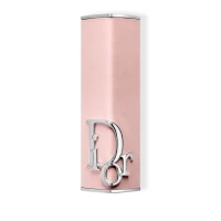 Dior Addict Lipstick Case