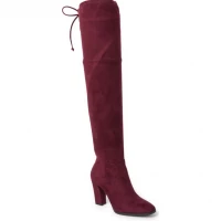 Tapley Thigh-High Block Heel Boot