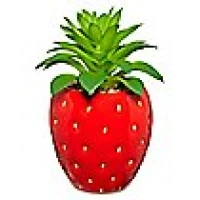 Strawberry Planter