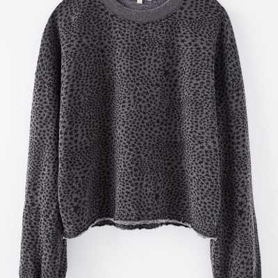 Cruise Stardust Sweatshirt