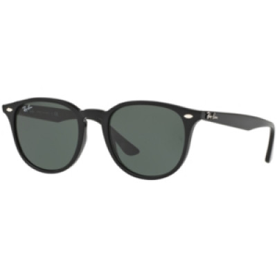 Ray-Ban Sunglasses, RB4259