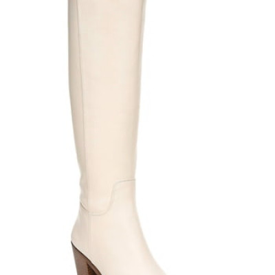 Womens Sam Edelman Lindsey Pointed Toe Knee High Boot