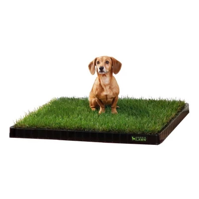 DoggieLawn Bundle