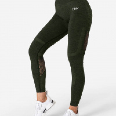 Queen Mesh Tights Green Melange Wmn