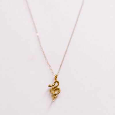 The Snake Necklace