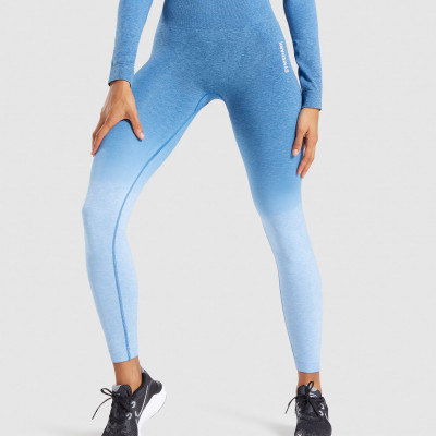 Adapt Ombre Seamless Leggings