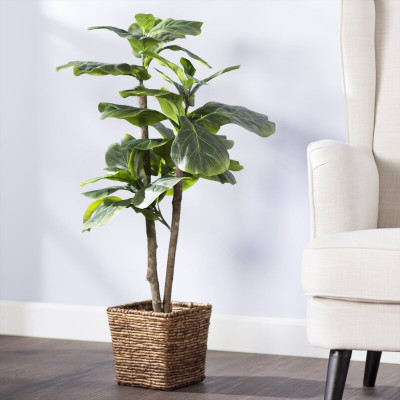 Foliage Tree in Basket