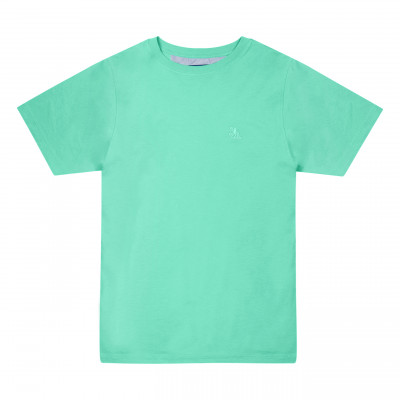 Toddler Boys Tom & Teddy Solid T-Shirt