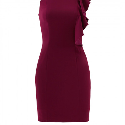 Plum Scott Dress
