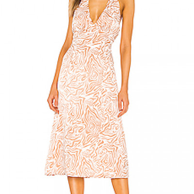 Song of Style Jude Midi Dress in Zebra Multi from Revolve.com