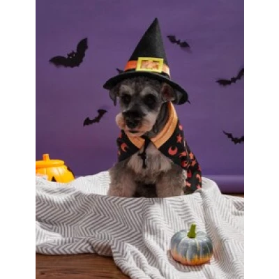 1pc Halloween Dog Hat & 1pc Dog Cloak