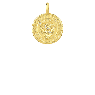 Icons Astrological Zodiac Necklace Charm