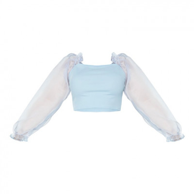Plus Dusty Blue Organza Long Sleeve Top