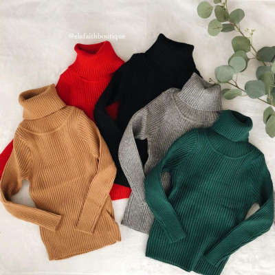 Leena Ribbed Turtle Neck