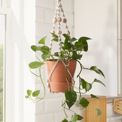 Hanging Plant Holder