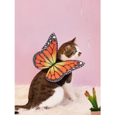 Butterfly Design Pet Costume