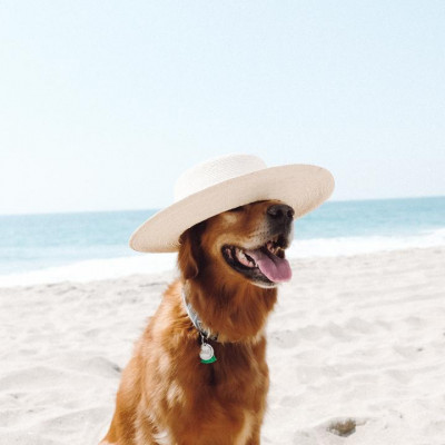 "Goldie" Boater Hat